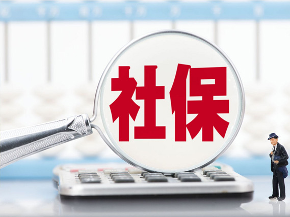 单位给上的社保都包括哪些保险，有生育险吗?